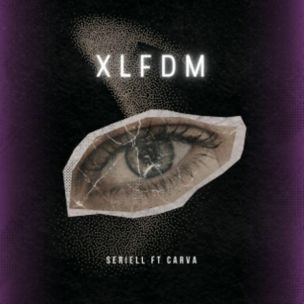 Portada de XLFDM